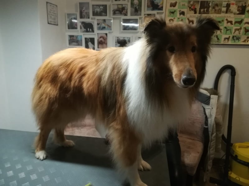 272977950_457454739119562_1492735856177094471_n